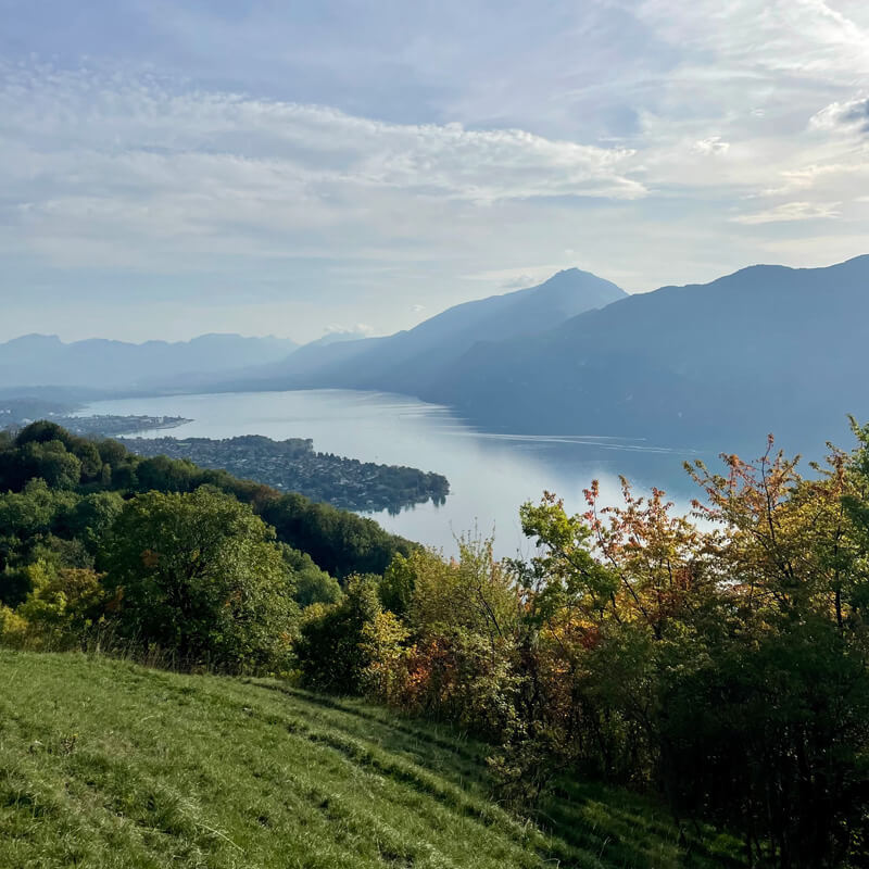 Vue de la foret de corsuet sur le lac du bourger